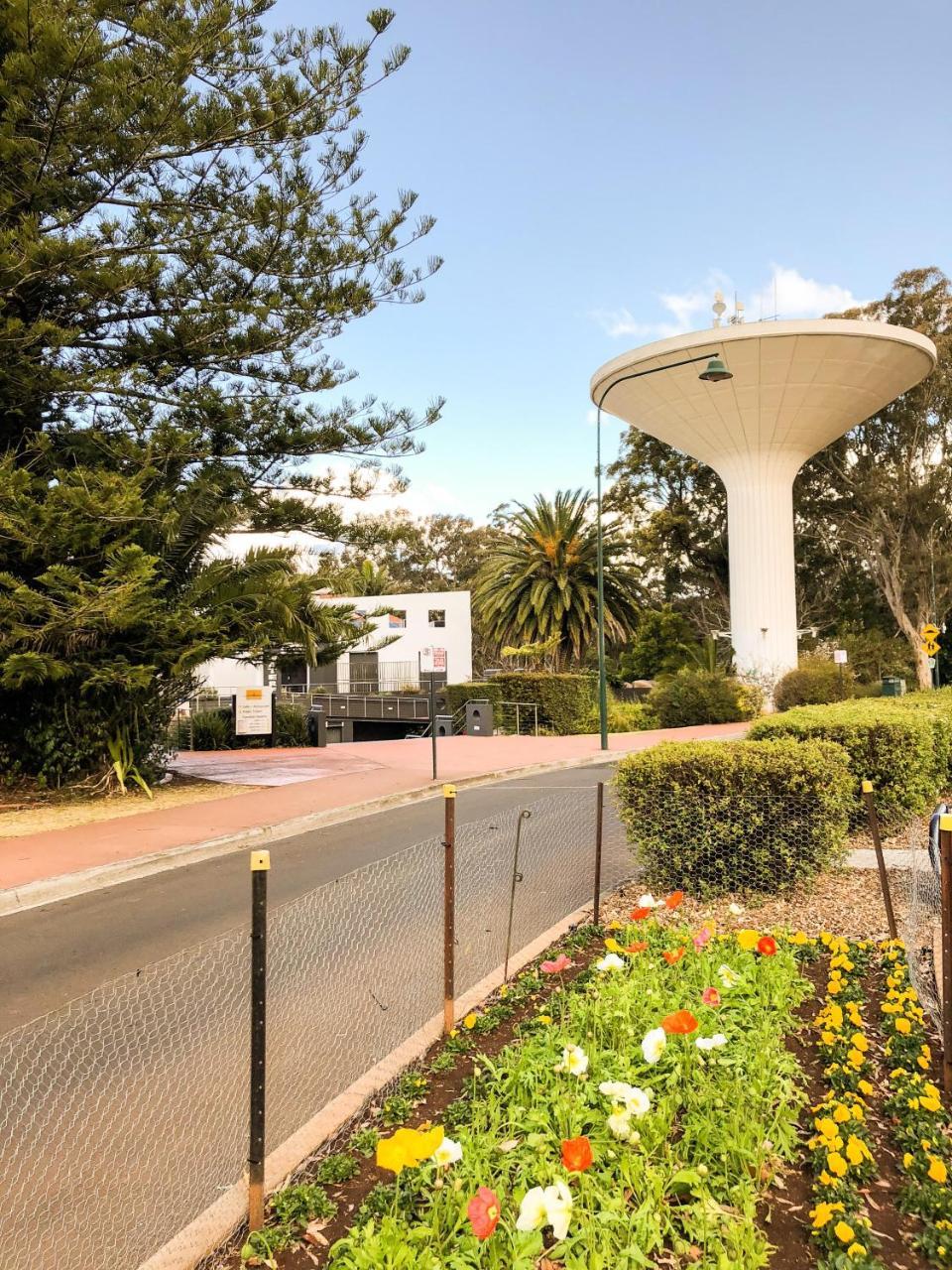 טוומבה Picnic Point Villas מראה חיצוני תמונה
